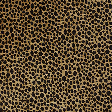 TOGO COIN (REVERSIBLE)