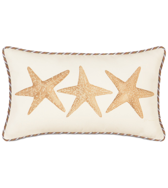 �P��˹ 13X22 HAND-PAINTED STARFISH