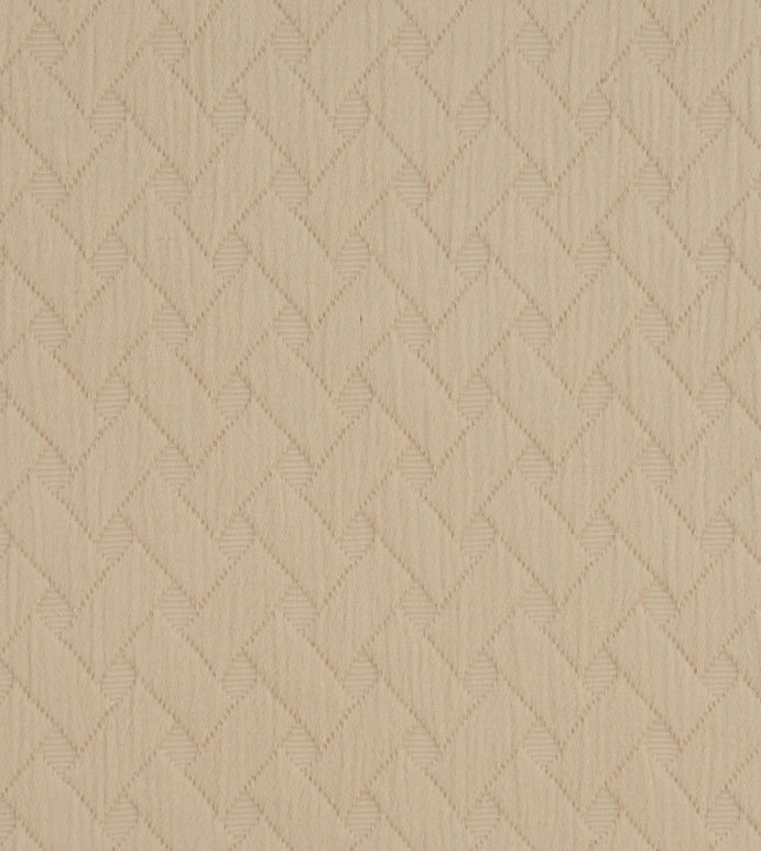 �������_(d��) 120