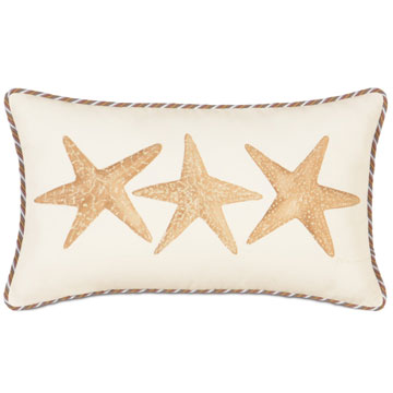 P˹ 13X22 HAND-PAINTED STARFISH