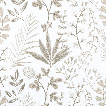 �K����˹ 52