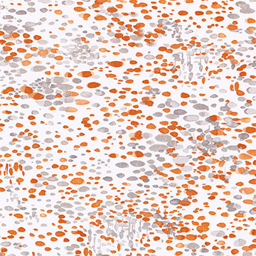 ���E ����ɫ 54