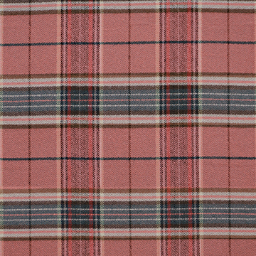 �������� 54