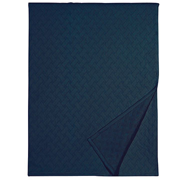 �������_(d��) 58X80 BRISEYDA INDIGO THROW